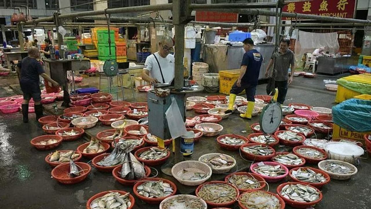 சிங்கப்பூரில் மூடப்பட இருக்கும் சினோக்கோ மீன்பிடித் துறைமுகம்! இடம்மாறும் மீன் வியாபாரிகள்! சிங்கப்பூரில் மூடப்பட இருக்கும் சினோக்கோ மீன்பிடித் துறைமுகம்! இடம்மாறும் மீன் வியாபாரிகள்!