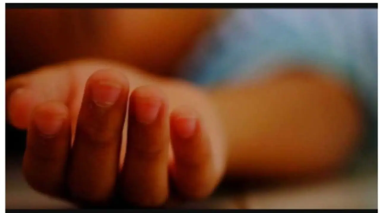 ഓമ്നി വാൻ നിയന്ത്രണം വിട്ട് കുഴിയിൽ വീണ് ഒരാൾ മരിച്ചു; രണ്ട് പേർക്ക് പരിക്ക് ഓമ്നി വാൻ നിയന്ത്രണം വിട്ട് കുഴിയിൽ വീണ് ഒരാൾ മരിച്ചു; രണ്ട് പേർക്ക് പരിക്ക്