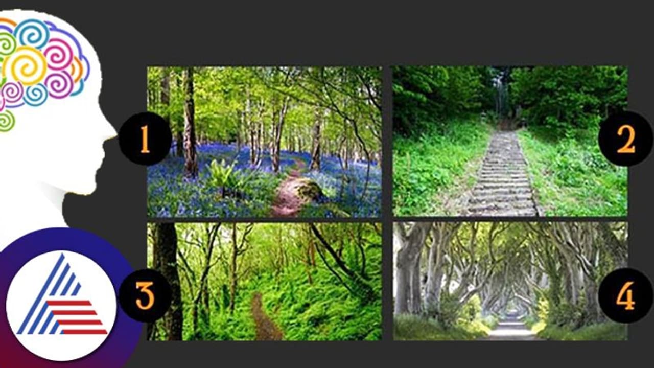 Personality Test: ಈ ಚಿತ್ರಗಳ ಪೈಕಿ ನಿಮ್ಮ ಆಯ್ಕೆ ಯಾವ್ದು? ಇವು ಭವಿಷ್ಯ, ವ್ಯಕ್ತಿತ್ವ ಸೂಚಿಸುತ್ವೆ