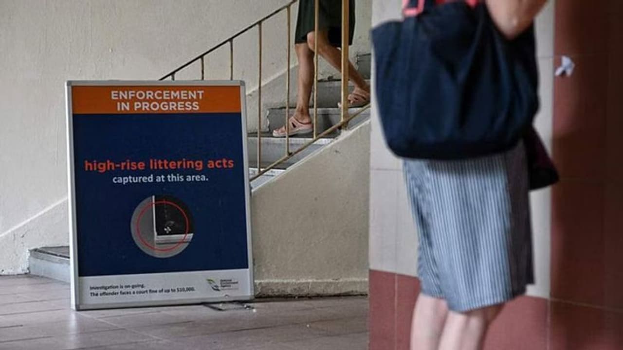 உயரத்திலிருந்து வீசப்படும் குப்பை! சாலையில் விழுந்தால் அபராதம்! தண்டனையும் காத்திருக்கு! எங்கு தெரியுமா? உயரத்திலிருந்து வீசப்படும் குப்பை! சாலையில் விழுந்தால் அபராதம்! தண்டனையும் காத்திருக்கு! எங்கு தெரியுமா?