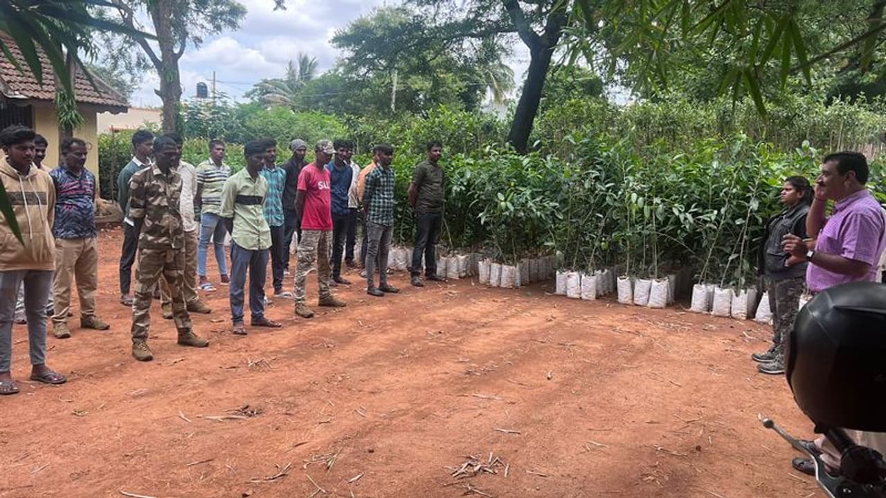 Ramanagara: ಕಾಡಾನೆ ಕಾಟಕ್ಕೆ ಎಲಿಫೆಂಟ್ ಟಾಸ್ಕ್ಫೋರ್ಸ್ ಕಾರ್ಯತಂತ್ರ Ramanagara: ಕಾಡಾನೆ ಕಾಟಕ್ಕೆ ಎಲಿಫೆಂಟ್ ಟಾಸ್ಕ್ಫೋರ್ಸ್ ಕಾರ್ಯತಂತ್ರ