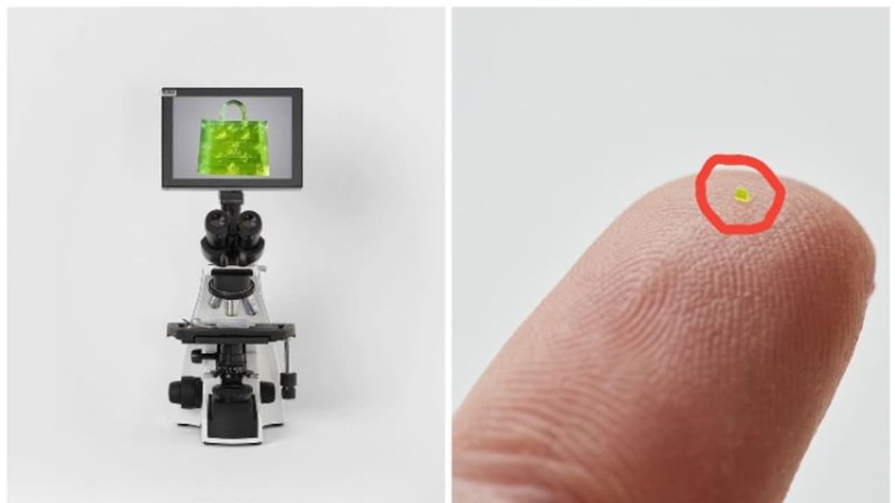 ബാഗ് കാണണമെങ്കില് ഭൂതക്കണ്ണാടി വേണം; വിലയോ 51 ലക്ഷം രൂപ! ബാഗ് കാണണമെങ്കില് ഭൂതക്കണ്ണാടി വേണം; വിലയോ 51 ലക്ഷം രൂപ!