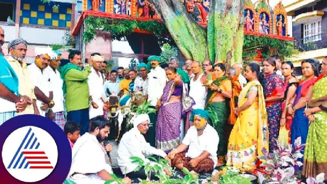ಮಳೆಗಾಗಿ ಕತ್ತೆಗಳ ಮದುವೆ: ಪುರೋಹಿತರ ಮಂತ್ರಘೋಷಗಳೊಂದಿಗೆ ಶಾಸ್ತ್ರೋಕ್ತವಾಗಿ ನಡೆದ ಮದುವೆ! ಮಳೆಗಾಗಿ ಕತ್ತೆಗಳ ಮದುವೆ: ಪುರೋಹಿತರ ಮಂತ್ರಘೋಷಗಳೊಂದಿಗೆ ಶಾಸ್ತ್ರೋಕ್ತವಾಗಿ ನಡೆದ ಮದುವೆ!
