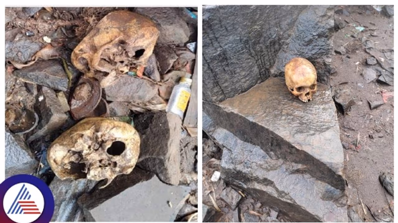 ಬೆಳಗಾವಿ ಮಹಾರಾಷ್ಟ್ರ ಗಡಿಯಲ್ಲಿ 4 ತಲೆಬುರುಡೆ ಪತ್ತೆ, ಬೆಚ್ಚಿಬಿದ್ದ ಜನ! ಬೆಳಗಾವಿ ಮಹಾರಾಷ್ಟ್ರ ಗಡಿಯಲ್ಲಿ 4 ತಲೆಬುರುಡೆ ಪತ್ತೆ, ಬೆಚ್ಚಿಬಿದ್ದ ಜನ!