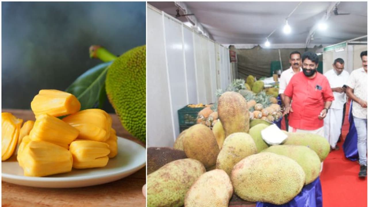 അനന്തപുരി ചക്ക മഹോല്സവത്തിന് തുടക്കമായി; കാണികൾക്കായി ചക്കപ്പഴം തീറ്റ മൽസരം അനന്തപുരി ചക്ക മഹോല്സവത്തിന് തുടക്കമായി; കാണികൾക്കായി ചക്കപ്പഴം തീറ്റ മൽസരം