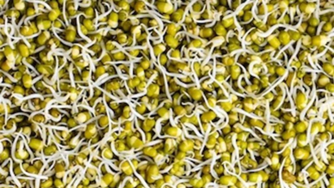 ദിവസവും കഴിക്കാം മുളപ്പിച്ച പയർ; അറിയാം ഈ ഗുണങ്ങള്... ദിവസവും കഴിക്കാം മുളപ്പിച്ച പയർ; അറിയാം ഈ ഗുണങ്ങള്...