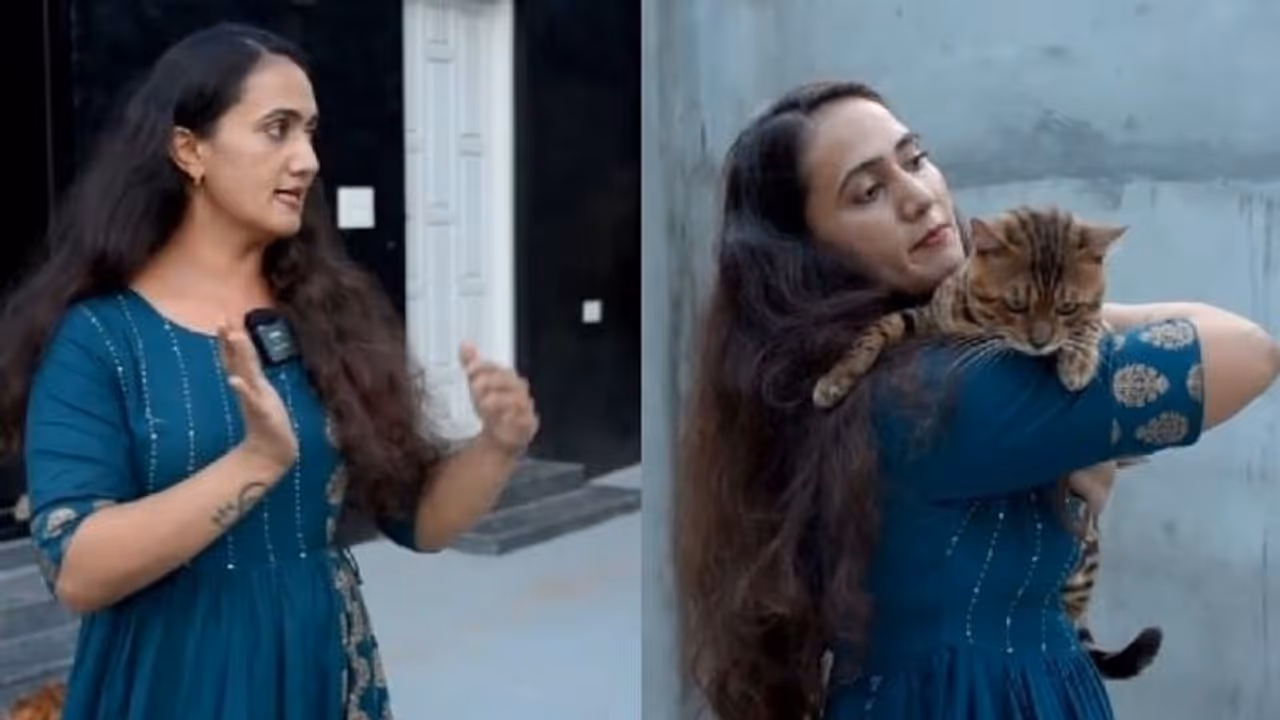 അനു ജോസഫിന്റെ 'പൂച്ചക്കൊട്ടാരം'; ചെലവാകുന്നത് ഒരു കോടിയോളം രൂപയോ ?