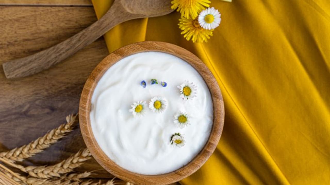 ദിവസവും കഴിക്കാം തൈര്; അറിയാം ഈ ഗുണങ്ങള്... ദിവസവും കഴിക്കാം തൈര്; അറിയാം ഈ ഗുണങ്ങള്...