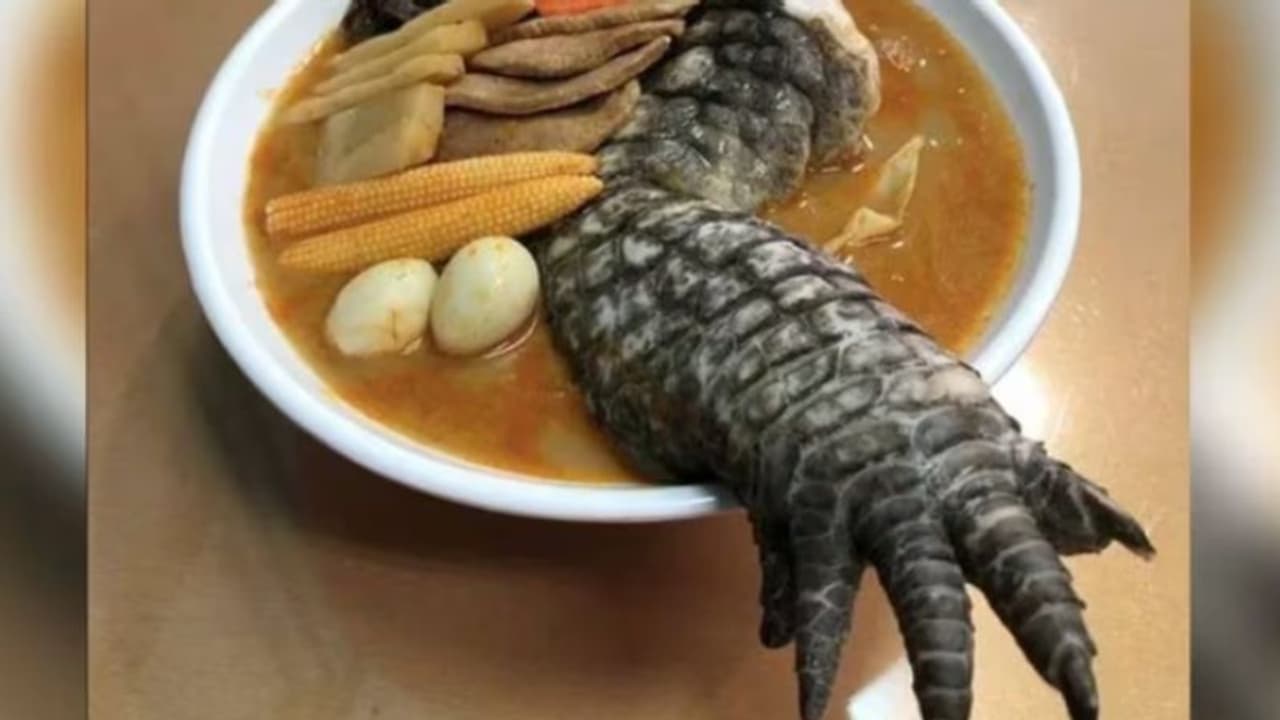 വിചിത്ര ഭക്ഷണം വിളമ്പി റെസ്റ്റോറെന്റ്; കണ്ടിട്ടു തന്നെ പേടിയാകുന്നുവെന്ന് ആളുകള്... വിചിത്ര ഭക്ഷണം വിളമ്പി റെസ്റ്റോറെന്റ്; കണ്ടിട്ടു തന്നെ പേടിയാകുന്നുവെന്ന് ആളുകള്...