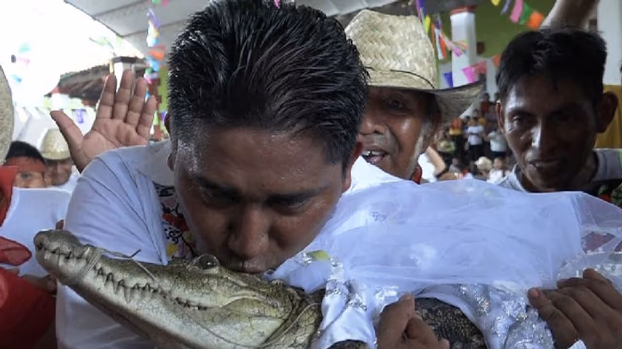 ಮೊಸಳೆಯನ್ನೇ ಮದ್ವೆಯಾದ ಮೇಯರ್, ಇದೆಂಥಾ ವಿಚಿತ್ರ ಸಂಪ್ರದಾಯ! ಮೊಸಳೆಯನ್ನೇ ಮದ್ವೆಯಾದ ಮೇಯರ್, ಇದೆಂಥಾ ವಿಚಿತ್ರ ಸಂಪ್ರದಾಯ!