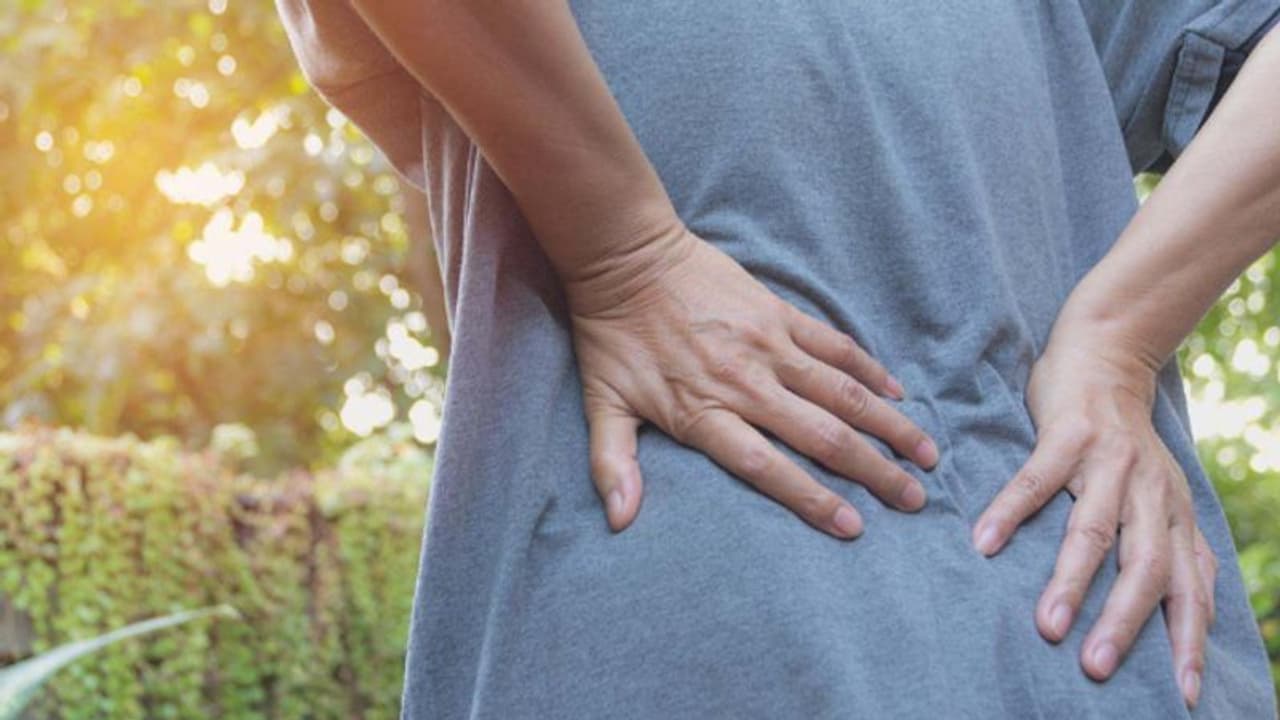 വൃക്കകളെ കാക്കാന് കഴിക്കേണ്ട പത്ത് ഭക്ഷണങ്ങള്... വൃക്കകളെ കാക്കാന് കഴിക്കേണ്ട പത്ത് ഭക്ഷണങ്ങള്...