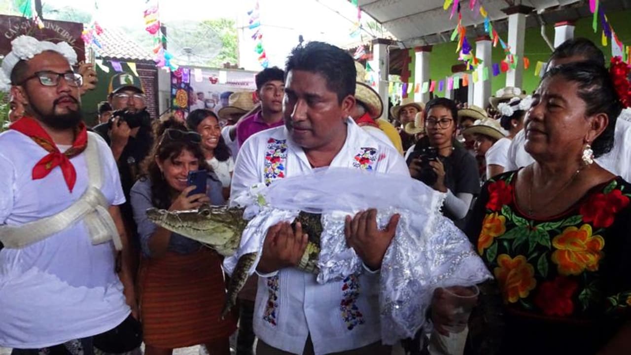 மக்கள் நலனுக்காக பெண் முதலையை திருமணம் செய்துகொண்ட மெக்சிகோ மேயர் மக்கள் நலனுக்காக பெண் முதலையை திருமணம் செய்துகொண்ட மெக்சிகோ மேயர்