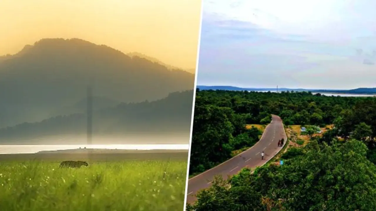 Jim Corbett to Chandra Prabha Wild Life sanctuary: 10 National Parks in UP for your next visit Jim Corbett to Chandra Prabha Wild Life sanctuary: 10 National Parks in UP for your next visit