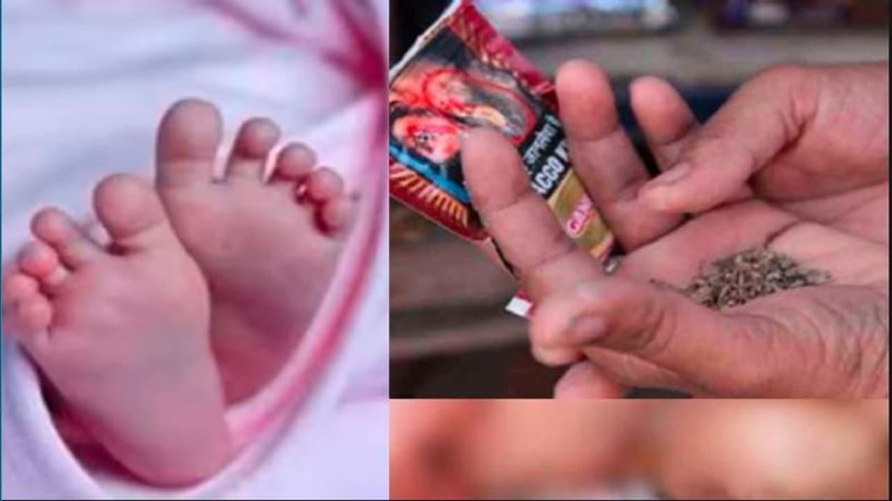 ಗರ್ಭಾವಸ್ಥೆಯಲ್ಲೂ ತಂಬಾಕು ಜಗಿಯುತ್ತಿದ್ದ ತಾಯಿ: ಆಗಷ್ಟೇ ಜನಿಸಿದ ಮಗುವಿನ ದೇಹದಲ್ಲಿ 3000 ಪಾಲು ಅಧಿಕ ನಿಕೋಟಿನ್ ಗರ್ಭಾವಸ್ಥೆಯಲ್ಲೂ ತಂಬಾಕು ಜಗಿಯುತ್ತಿದ್ದ ತಾಯಿ: ಆಗಷ್ಟೇ ಜನಿಸಿದ ಮಗುವಿನ ದೇಹದಲ್ಲಿ 3000 ಪಾಲು ಅಧಿಕ ನಿಕೋಟಿನ್