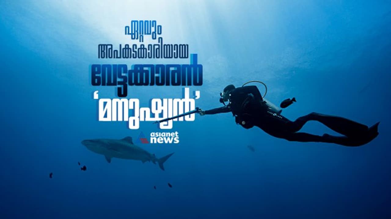 ഭൂമിയിലെ ഏറ്റവും അപകടകാരിയായ വേട്ടക്കാരന്‍ 'മനുഷ്യ'നെന്ന് പഠനം