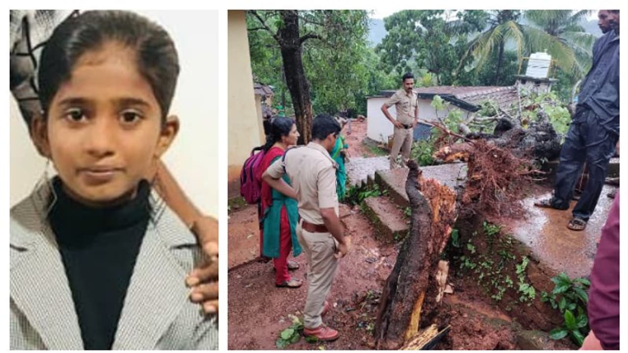 വിടരും മുമ്പേ പൊലിഞ്ഞ ജീവൻ, ആയിഷത്ത് മിന്ഹ തീരാ നോവ്,സ്കൂളിൽ മരംവീണ് മരിച്ച പെൺകുട്ടിയുടെ മൃതദേഹം സംസ്കരിച്ചു വിടരും മുമ്പേ പൊലിഞ്ഞ ജീവൻ, ആയിഷത്ത് മിന്ഹ തീരാ നോവ്,സ്കൂളിൽ മരംവീണ് മരിച്ച പെൺകുട്ടിയുടെ മൃതദേഹം സംസ്കരിച്ചു