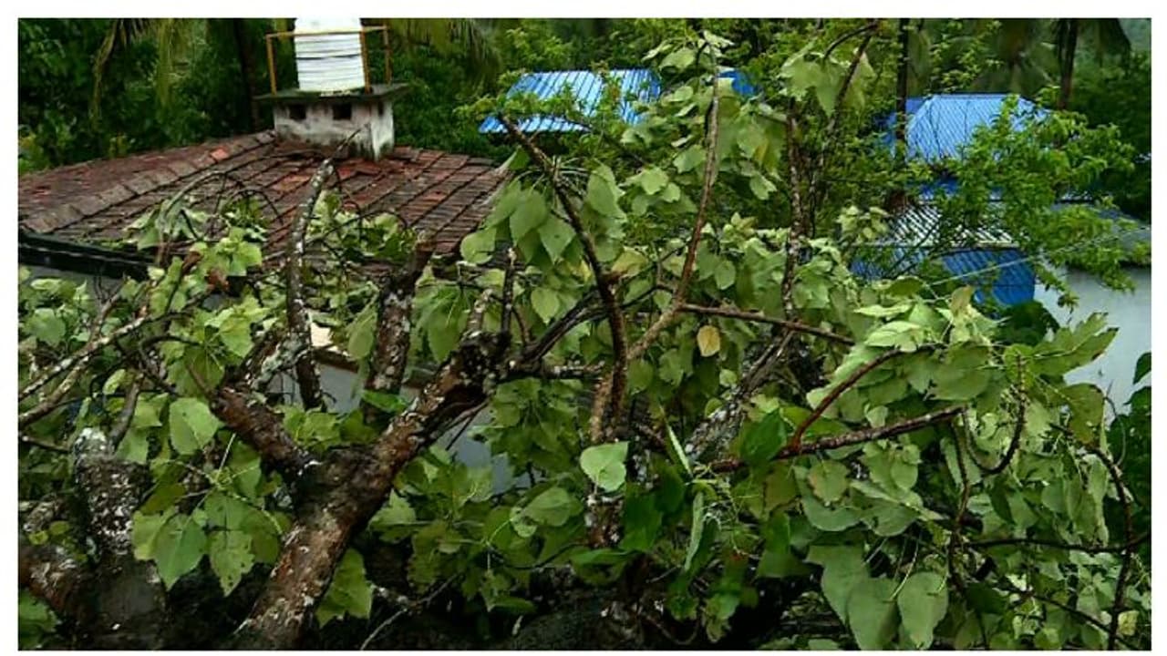 സ്‌കൂള്‍ ഗ്രൗണ്ടിലെ മരത്തിന്റെ കൊമ്പൊടിഞ്ഞു വീണ് അഞ്ചാം ക്ലാസ് വിദ്യാർത്ഥിക്ക് ഗുരുതര പരിക്ക്