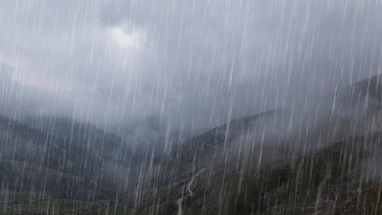 കനത്തമഴ: ആലപ്പുഴയിൽ വിദ്യാഭ്യാസ സ്ഥാപനങ്ങൾക്ക് അവധി, ഇക്കോ ടൂറിസം കേന്ദ്രം അടച്ചിടും