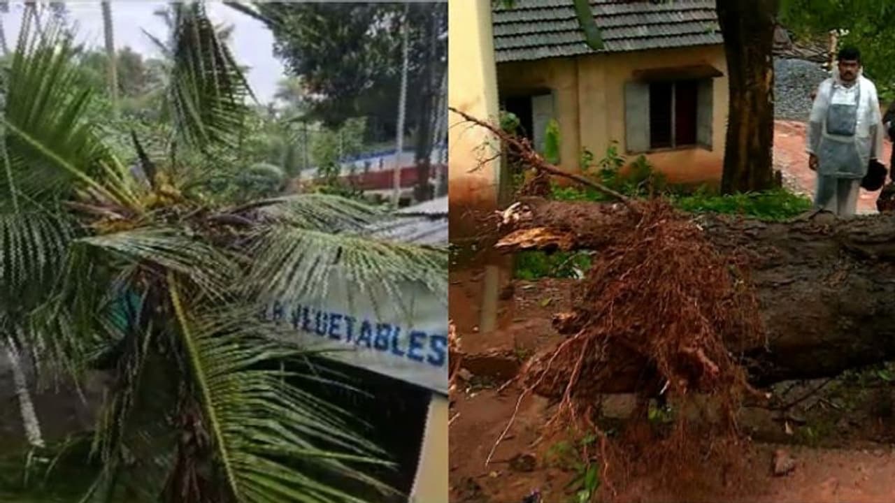അതിതീവ്ര മഴ: ഉരുൾപൊട്ടൽ, മണ്ണിടിച്ചിൽ, വെള്ളപ്പൊക്ക സാധ്യത; റവന്യൂമന്ത്രി ഉന്നതതല യോഗം വിളിച്ചു അതിതീവ്ര മഴ: ഉരുൾപൊട്ടൽ, മണ്ണിടിച്ചിൽ, വെള്ളപ്പൊക്ക സാധ്യത; റവന്യൂമന്ത്രി ഉന്നതതല യോഗം വിളിച്ചു