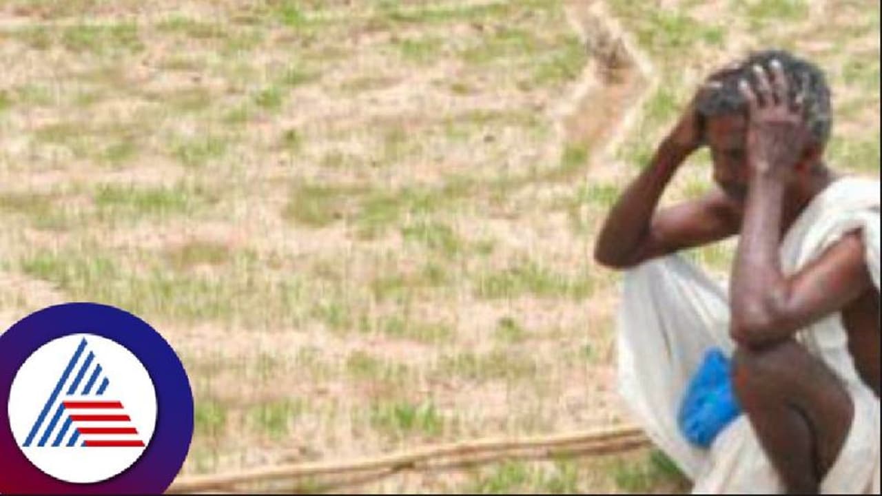 ಮಳೆ ಇಲ್ಲದೆ ರೈತಾಪಿ ಜೀವನಾನೇ ಸಾಕಾಗೈತ್ರಿ ; ಹುಬ್ಬಳ್ಳಿ ರೈತರು ಕಣ್ಣೀರು! ಮಳೆ ಇಲ್ಲದೆ ರೈತಾಪಿ ಜೀವನಾನೇ ಸಾಕಾಗೈತ್ರಿ ; ಹುಬ್ಬಳ್ಳಿ ರೈತರು ಕಣ್ಣೀರು!