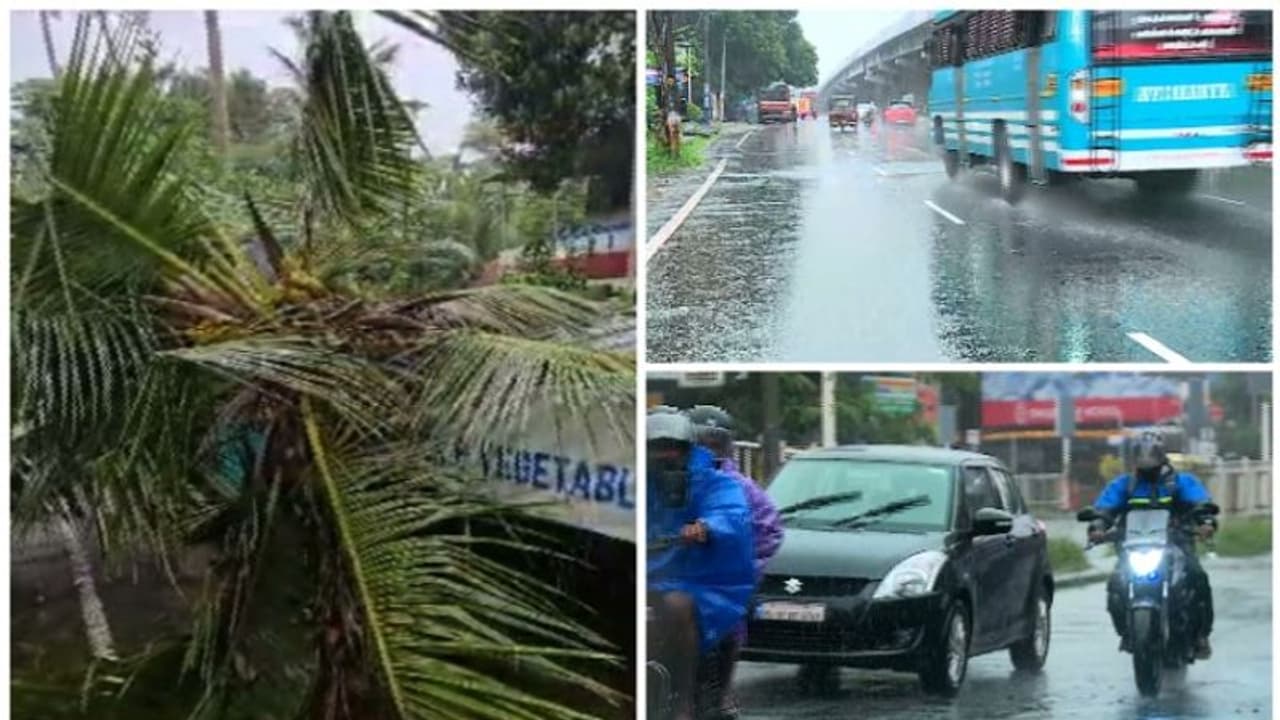 కర్నాటకలో కుండపోత వర్షం.. దక్షిణ కన్నడలో స్కూళ్లు, కాలేజీలకు సెలవులు కర్నాటకలో కుండపోత వర్షం.. దక్షిణ కన్నడలో స్కూళ్లు, కాలేజీలకు సెలవులు