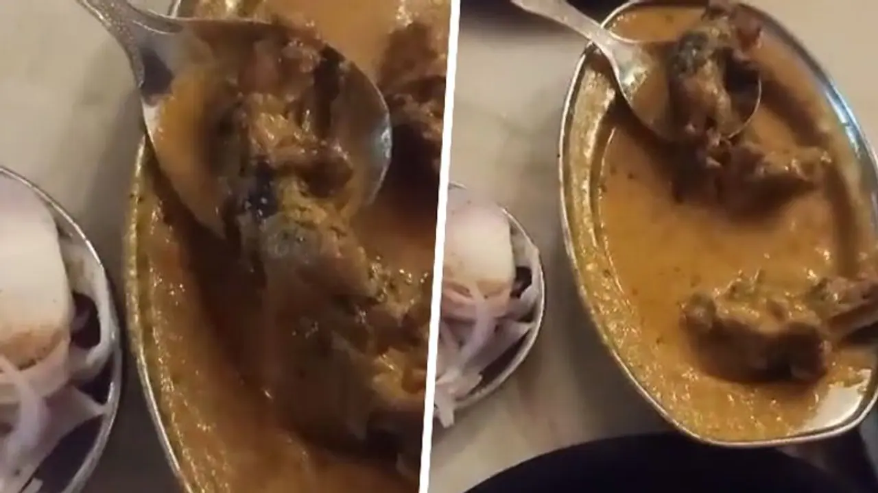 WATCH: Ludhiana man posts video of dead rat in restaurant food; leaves netizens shocked