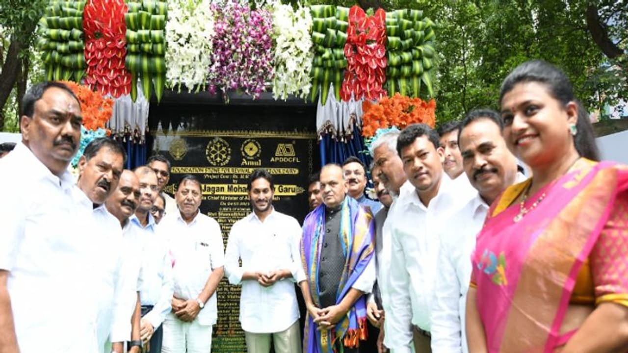 చిత్తూరు డెయిరీని కుట్రపూరితంగా మూసేశారు.. అమూల్ రాకతో మిలిగిన డెయిరీలకు జ్వరం: సీఎం జగన్ చిత్తూరు డెయిరీని కుట్రపూరితంగా మూసేశారు.. అమూల్ రాకతో మిలిగిన డెయిరీలకు జ్వరం: సీఎం జగన్