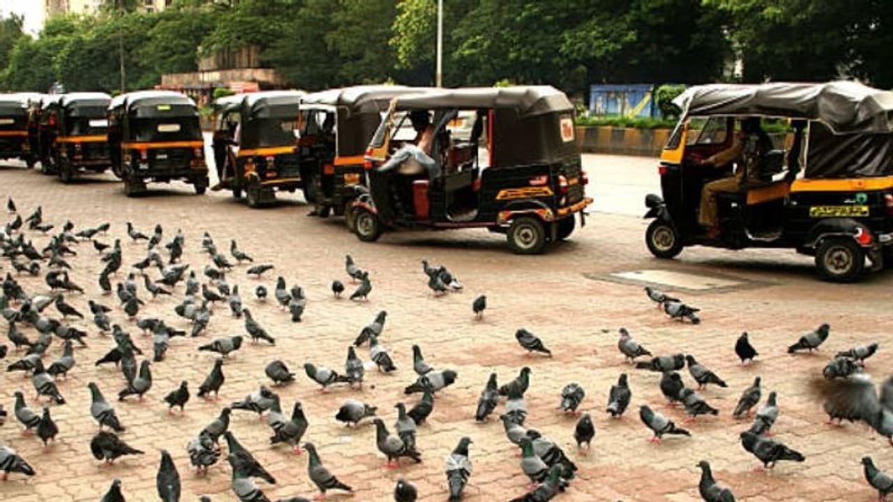 കാണാതെ പോയ ഐ ഫോൺ കണ്ടെത്താൻ സഹായിച്ച് ഓട്ടോക്കാരും സ്വിഗ്ഗി ഡെലിവെറി ഏജന്റും... കാണാതെ പോയ ഐ ഫോൺ കണ്ടെത്താൻ സഹായിച്ച് ഓട്ടോക്കാരും സ്വിഗ്ഗി ഡെലിവെറി ഏജന്റും...