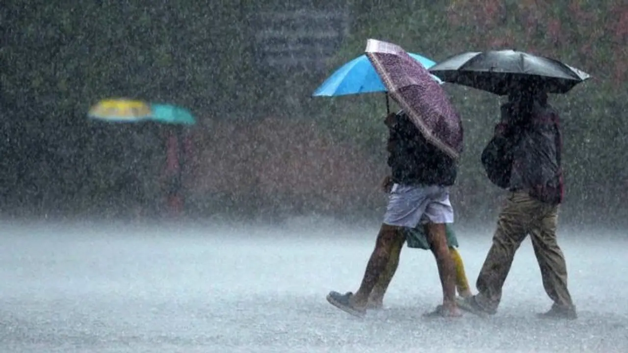 வேலூரில் கனமழை: தொடக்கப் பள்ளிகளுக்கு மட்டும் இன்று விடுமுறை அறிவிப்பு