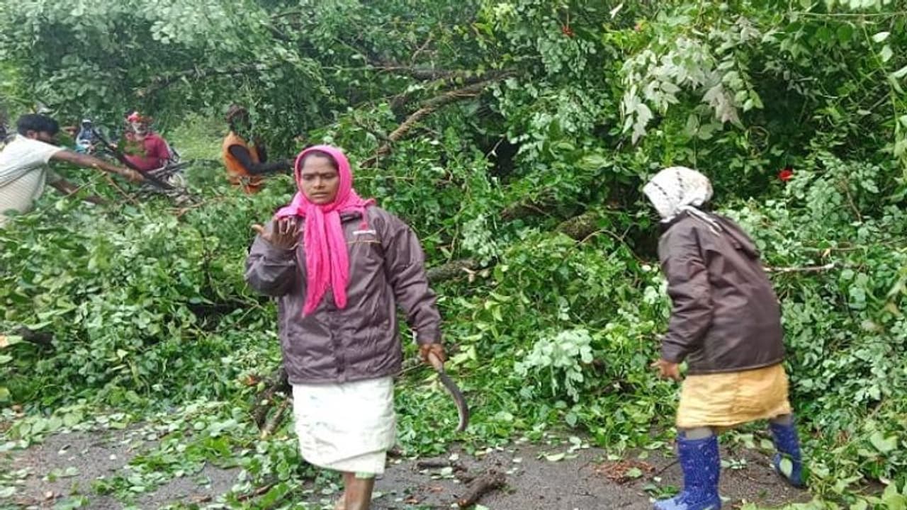 ಚಿಕ್ಕಮಗಳೂರಲ್ಲಿ ವರುಣನ ಅಬ್ಬರಕ್ಕೆ ಧರೆಗುರುಳಿದ ಮರಗಳು: ಮುಂದಿನ 3 ದಿನ ಭಾರೀ ಮಳೆ..! 
