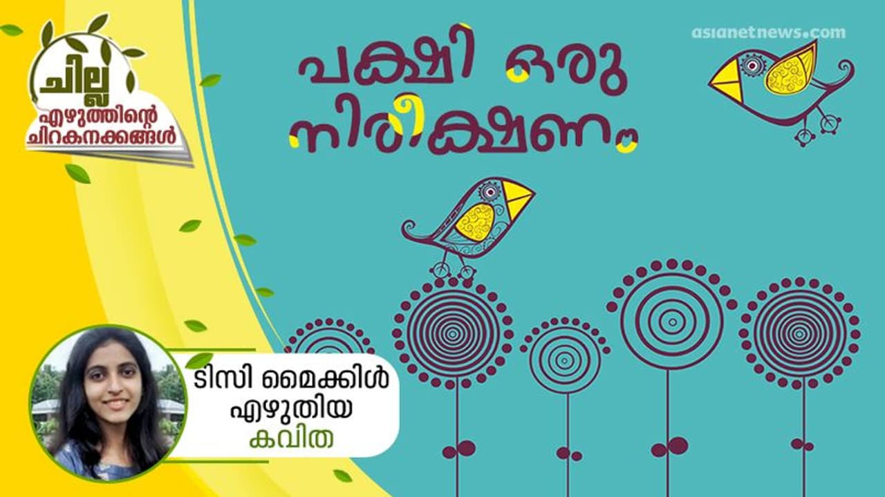 പക്ഷി ഒരു നിരീക്ഷണം, ടിസി മൈക്കിള് എഴുതിയ കവിത പക്ഷി ഒരു നിരീക്ഷണം, ടിസി മൈക്കിള് എഴുതിയ കവിത