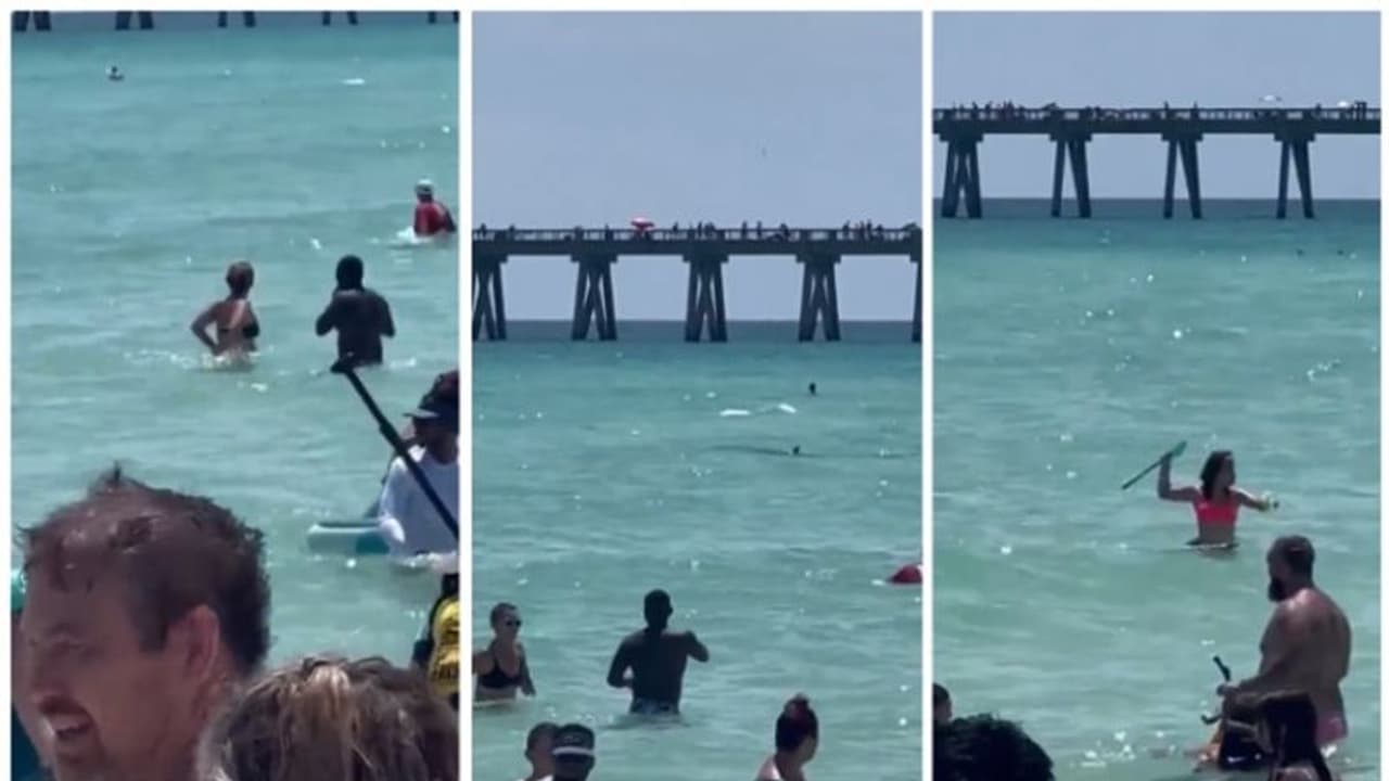 കടല്‍തീരത്ത് കുളിക്കുകയായിരുന്നവര്‍ക്ക് നേരെ പാഞ്ഞടുക്കുന്ന കൊലയാളി സ്രാവുകളുടെ വീഡിയോ വൈറല്‍ !