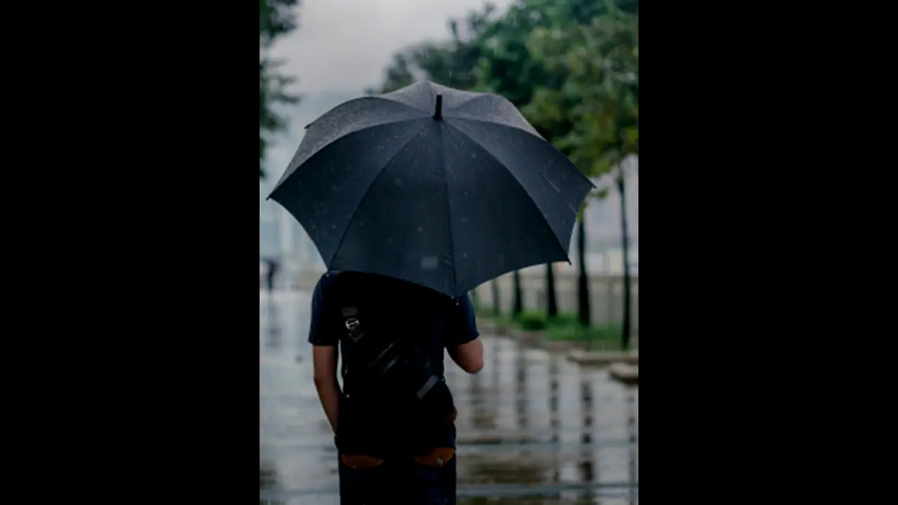 பருவமழை மாதத்தில் நீங்கள் ஆரோக்கியமாகவும், பாதுகாப்பாகவும் இருக்க இந்த விஷயங்களை பின்பற்றுங்கள்..!!