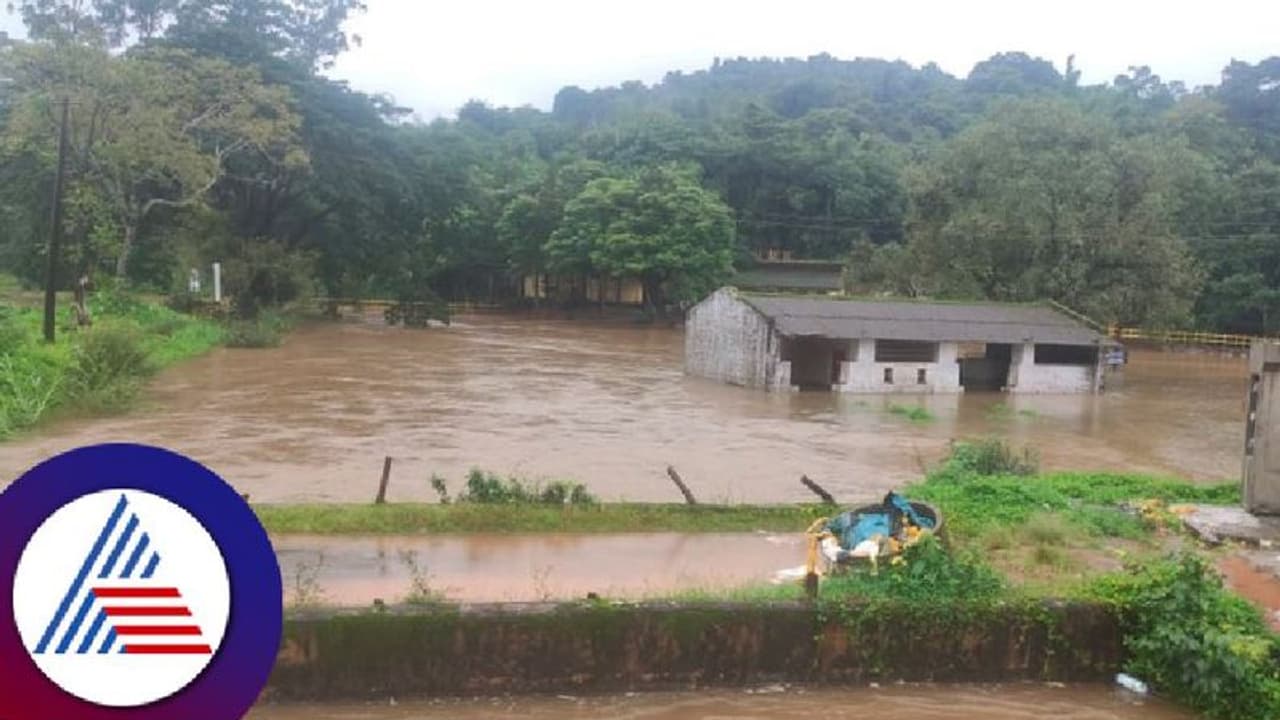 Chikkamagaluru rains: ಮಲೆನಾಡು ಜಿಲ್ಲೆ ಚಿಕ್ಕಮಗಳೂರಿನಲ್ಲಿ ಮುಂದುವರೆದ ಮಳೆ 