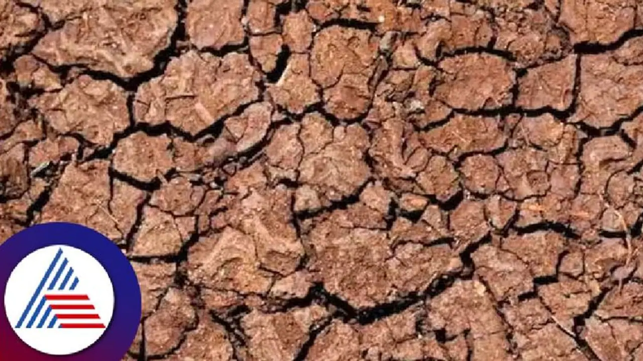 ಯಾದಗಿರಿ: ಮಳೆ ಕೊರತೆ, ಬರದ ಭೀತಿ​ಯಲ್ಲಿ ಸುರ​ಪು​ರ ತಾಲೂಕು?