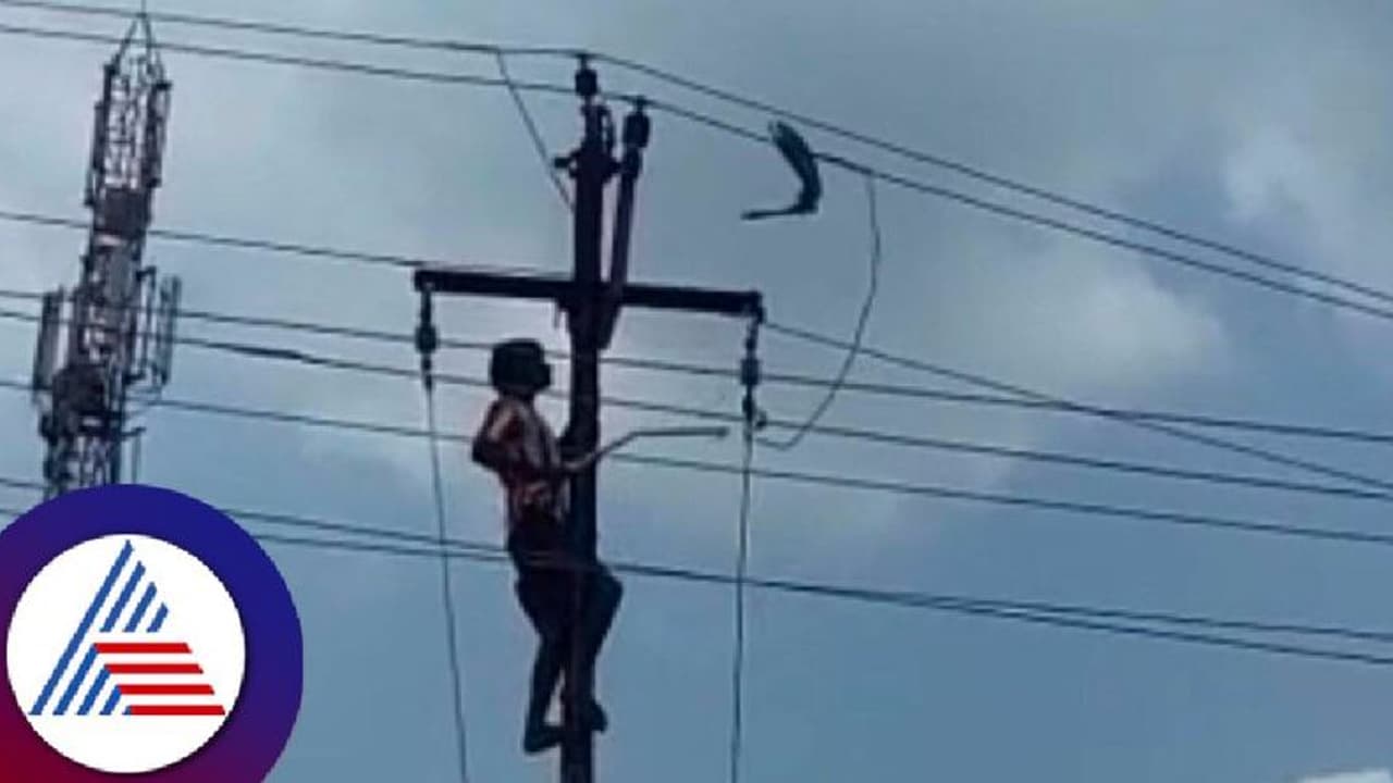 ಕೊಡಗು: ದುರಸ್ತಿ ಮಾಡುವ ವೇಳೆ ವಿದ್ಯುತ್ ಆಘಾತ: ಲೈನ್ಮನ್ ಸಾವು ಕೊಡಗು: ದುರಸ್ತಿ ಮಾಡುವ ವೇಳೆ ವಿದ್ಯುತ್ ಆಘಾತ: ಲೈನ್ಮನ್ ಸಾವು