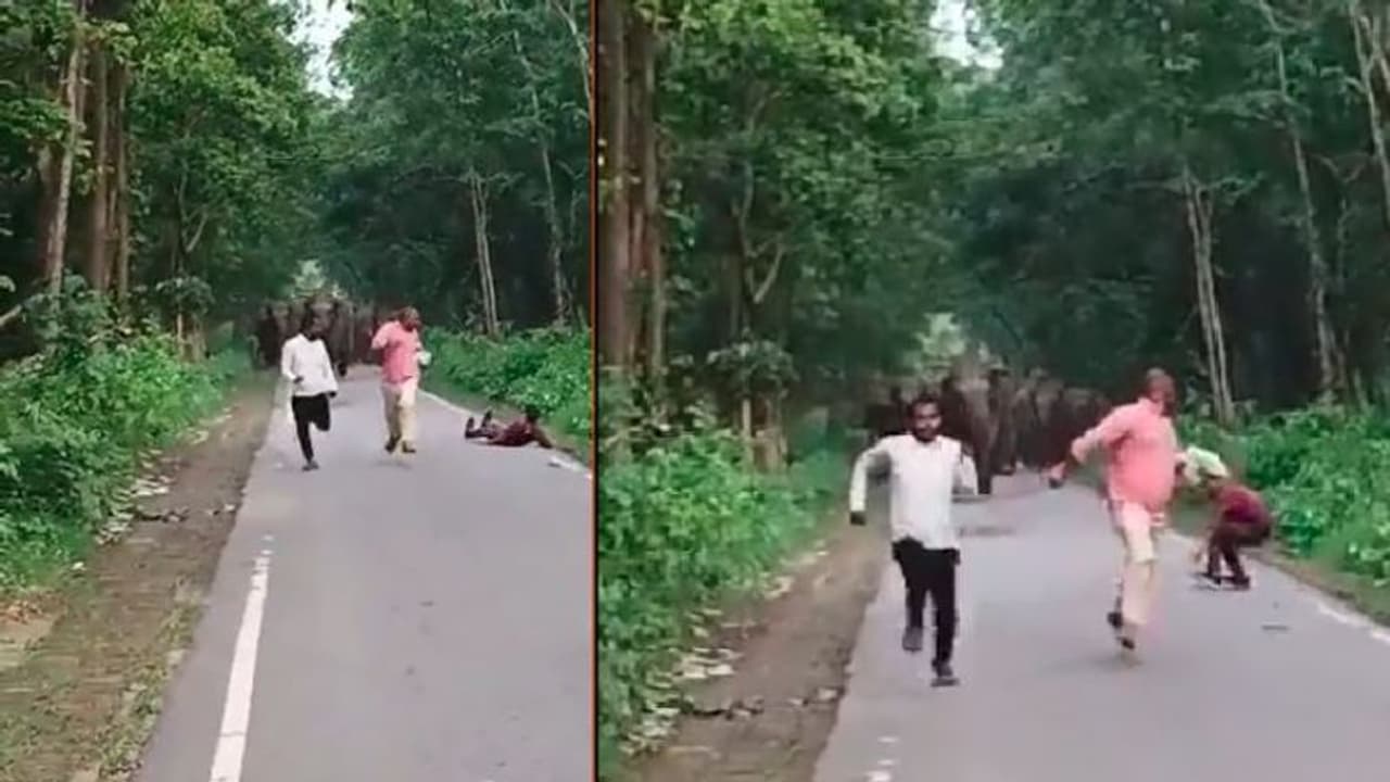 ನಡುರಸ್ತೆಯಲ್ಲಿ ಸೆಲ್ಫಿ ತೆಗೆಯುತ್ತಿದ್ದವರನ್ನು ಓಡಿಸಿದ ಗಜಪಡೆ: ವೀಡಿಯೋ ವೈರಲ್ ನಡುರಸ್ತೆಯಲ್ಲಿ ಸೆಲ್ಫಿ ತೆಗೆಯುತ್ತಿದ್ದವರನ್ನು ಓಡಿಸಿದ ಗಜಪಡೆ: ವೀಡಿಯೋ ವೈರಲ್