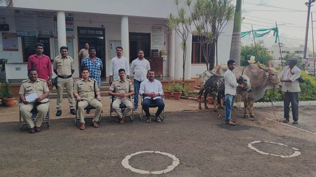 ಹುಮನಾಬಾದ: ಎತ್ತು, ಆಕಳು ಕದ್ದಿದ್ದ ಮೂವರು ಖದೀಮರ ಬಂಧನ