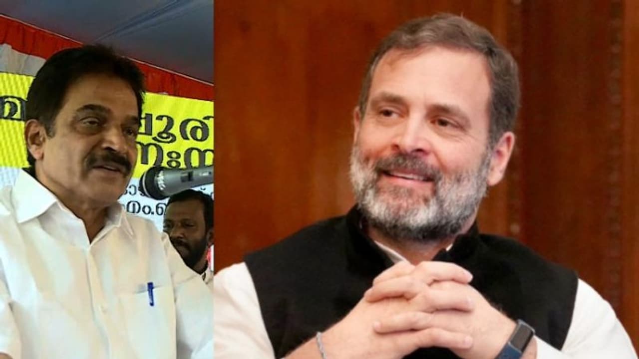 'ഗുജറാത്തിൽ നിന്ന് വർത്തമാനകാലത്ത് നീതി കിട്ടുമെന്ന പ്രതീക്ഷയില്ല, രാഹുലിന്റെ അപ്പീൽ തള്ളിയതില് അതിശയമില്ല' 'ഗുജറാത്തിൽ നിന്ന് വർത്തമാനകാലത്ത് നീതി കിട്ടുമെന്ന പ്രതീക്ഷയില്ല, രാഹുലിന്റെ അപ്പീൽ തള്ളിയതില് അതിശയമില്ല'