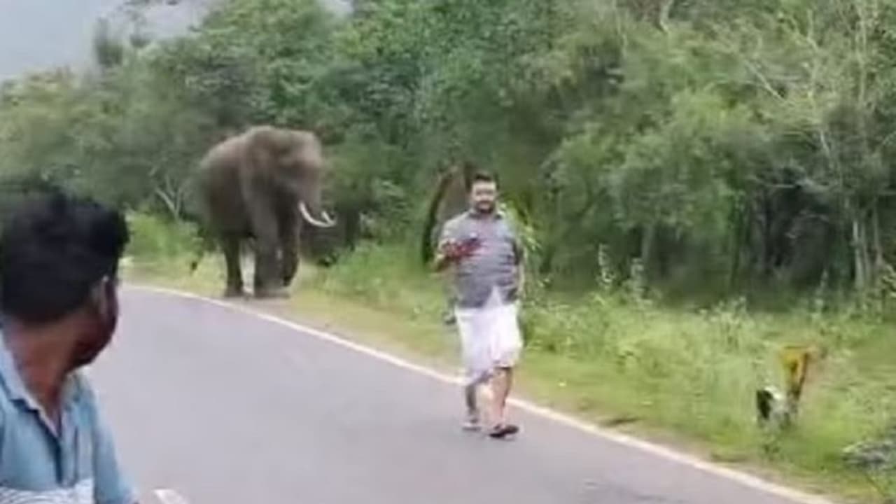 Chamarajanagar: ಕಾಡಾನೆ ಜೊತೆ ಸೆಲ್ಫಿ ಕ್ಲಿಕ್ಕಿಸಿಕೊಂಡ ಇಬ್ಬರು ಪ್ರವಾಸಿಗರಿಗೆ 20 ಸಾವಿರ ರೂ. ದಂಡ Chamarajanagar: ಕಾಡಾನೆ ಜೊತೆ ಸೆಲ್ಫಿ ಕ್ಲಿಕ್ಕಿಸಿಕೊಂಡ ಇಬ್ಬರು ಪ್ರವಾಸಿಗರಿಗೆ 20 ಸಾವಿರ ರೂ. ದಂಡ