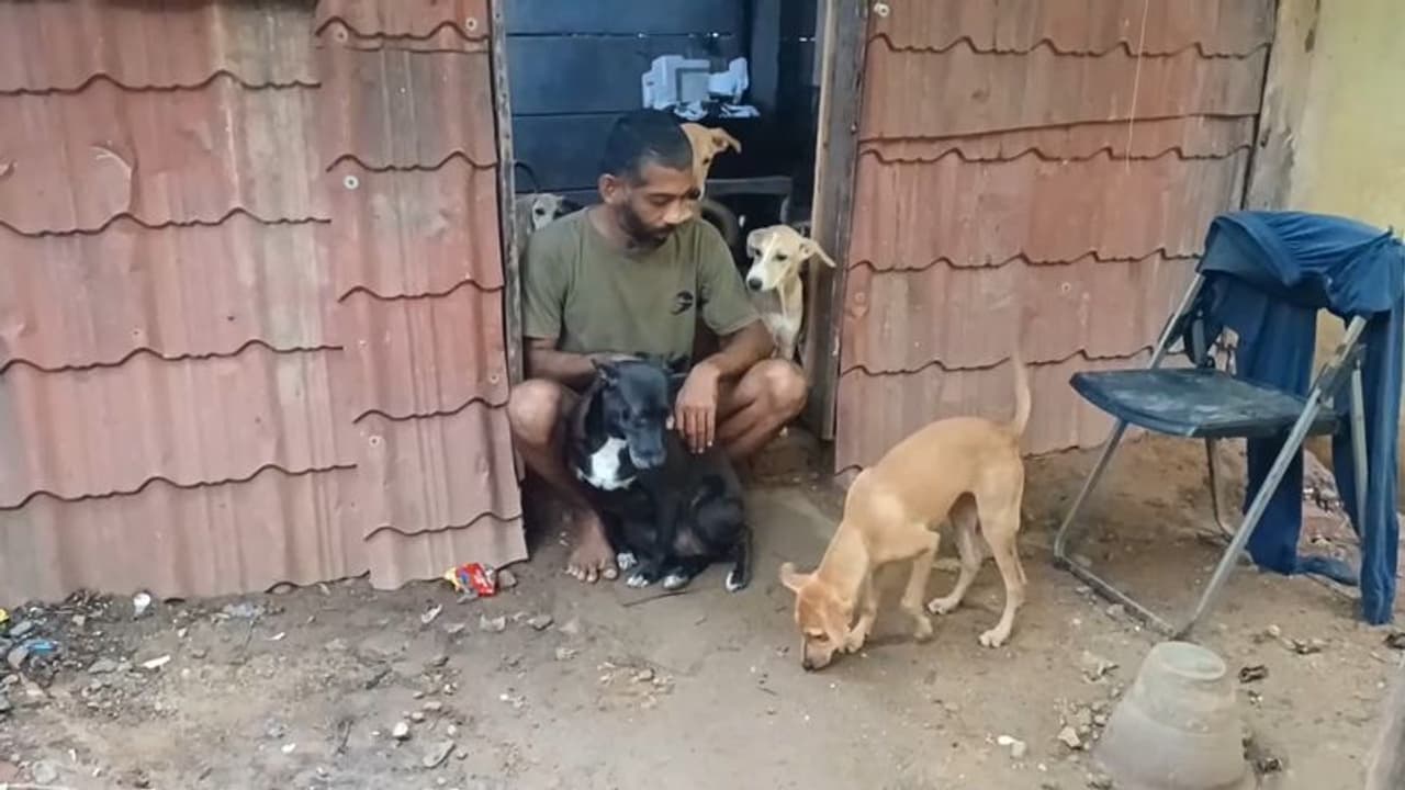 கோடீஸ்வரனாக வாழ்ந்து வாடகை வீட்டுக்கு வந்த போதிலும் வளர்ப்பு நாய்களை கைவிடாத தொழிலதிபர் கோடீஸ்வரனாக வாழ்ந்து வாடகை வீட்டுக்கு வந்த போதிலும் வளர்ப்பு நாய்களை கைவிடாத தொழிலதிபர்