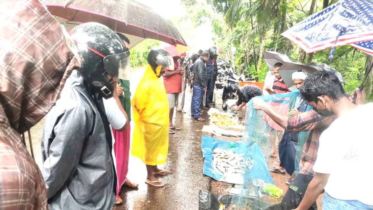 മഴ തിമിർത്തു; പെടപെടച്ച് ഏട്ട, കുറുവ, കട്ട്ള, ആറ്റുവാള, പുഞ്ചയിൽ നാട്ടുകാരുടെ മത്സ്യവേട്ട! മഴ തിമിർത്തു; പെടപെടച്ച് ഏട്ട, കുറുവ, കട്ട്ള, ആറ്റുവാള, പുഞ്ചയിൽ നാട്ടുകാരുടെ മത്സ്യവേട്ട!