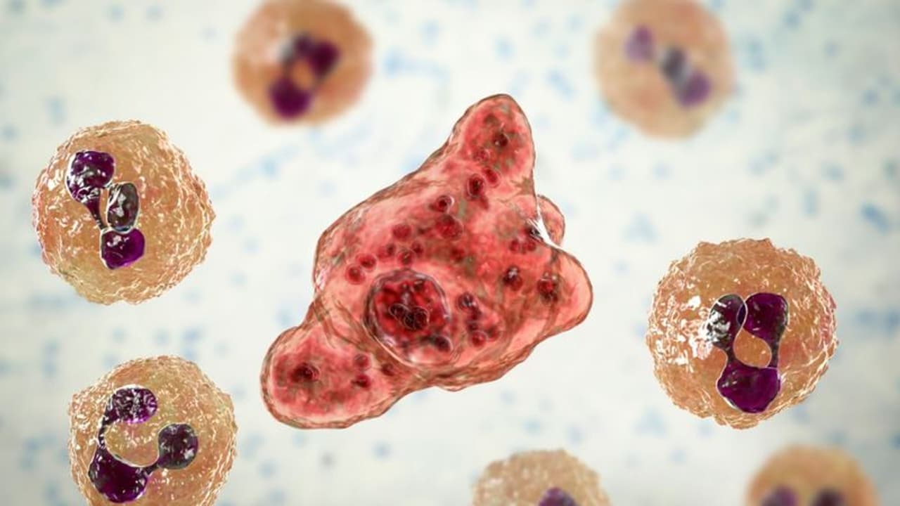 'ലോകത്ത് രോഗം ബാധിച്ച് ജീവൻ തിരികെ കിട്ടിയത് 11 പേര്‍ക്ക്', വേനലിൽ പടരാൻ സാധ്യത കൂടുതൽ, പ്രത്യേക ജാഗ്രത വേണം