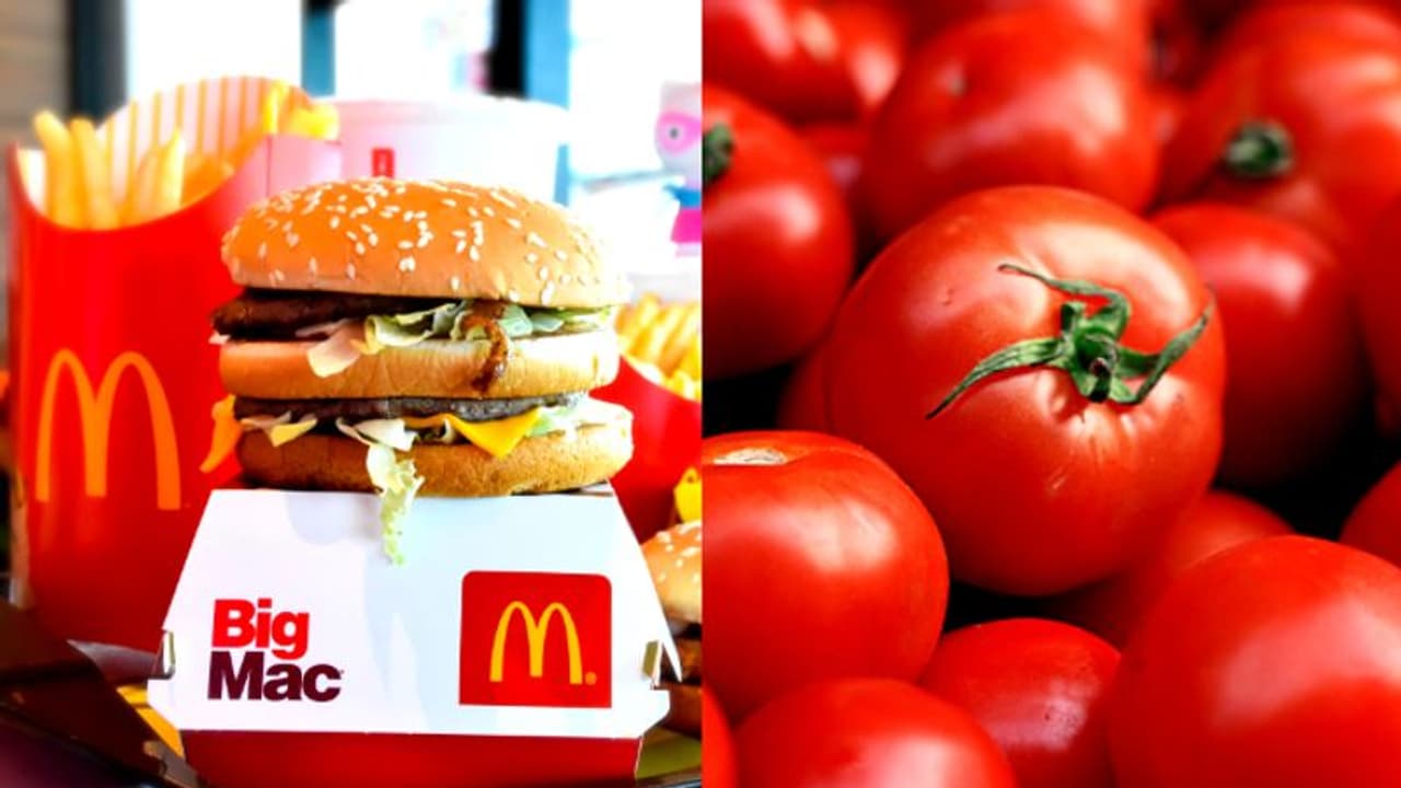இனி பர்கரில் தக்காளி இருக்காதாம்.. இது என்னபா McDonald'sக்கு வந்த சோதனை..! மாஸ் காட்டும் தக்காளி! இனி பர்கரில் தக்காளி இருக்காதாம்.. இது என்னபா McDonald'sக்கு வந்த சோதனை..! மாஸ் காட்டும் தக்காளி!