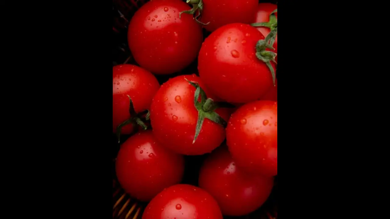 திமுக நிர்வாகி பிறந்தநாள்: பொதுமக்களுக்கு இலவச தக்காளி! திமுக நிர்வாகி பிறந்தநாள்: பொதுமக்களுக்கு இலவச தக்காளி!