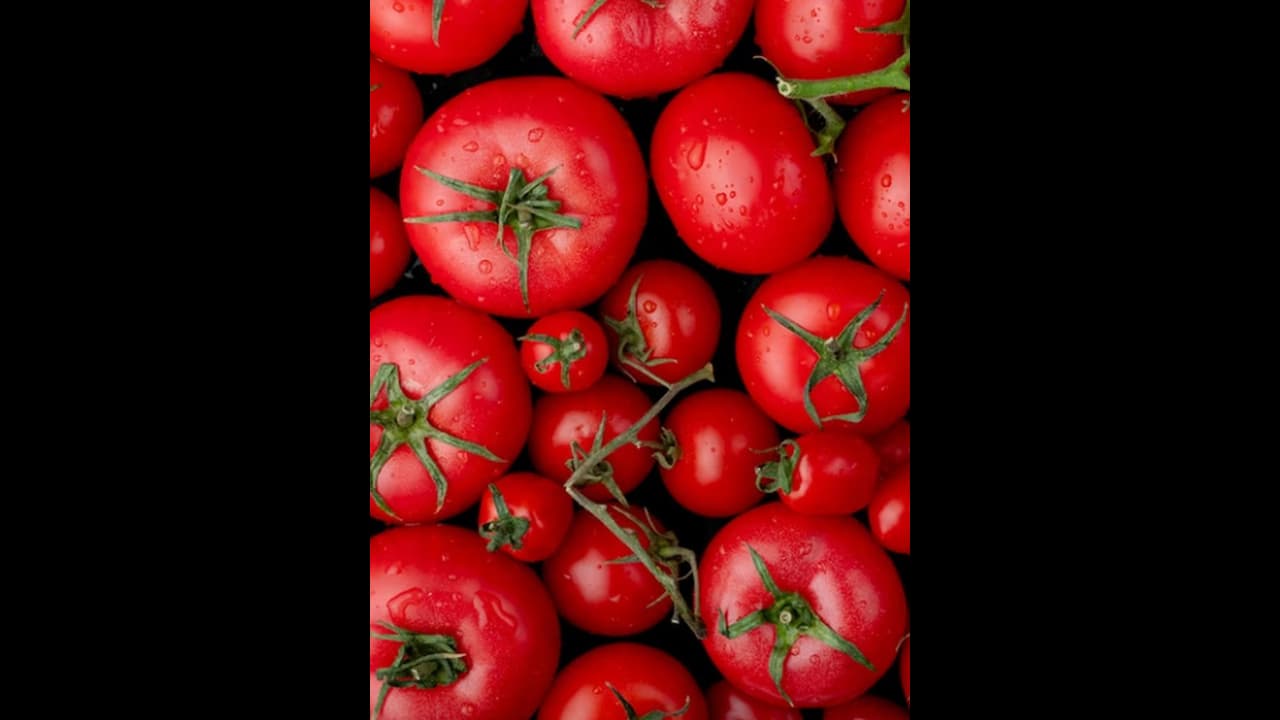 ఆకాశాన్ని అంటుతున్న టమాట ధరలపై ఈ పేరడీ సాంగ్ విన్నారా? ఆకాశాన్ని అంటుతున్న టమాట ధరలపై ఈ పేరడీ సాంగ్ విన్నారా?