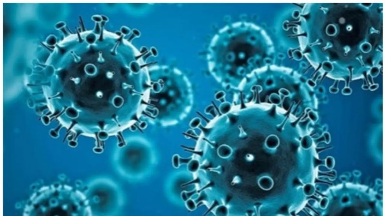 ICMR reveals COVID-19 vaccination did not increase risk of sudden deaths in young adults; check details
