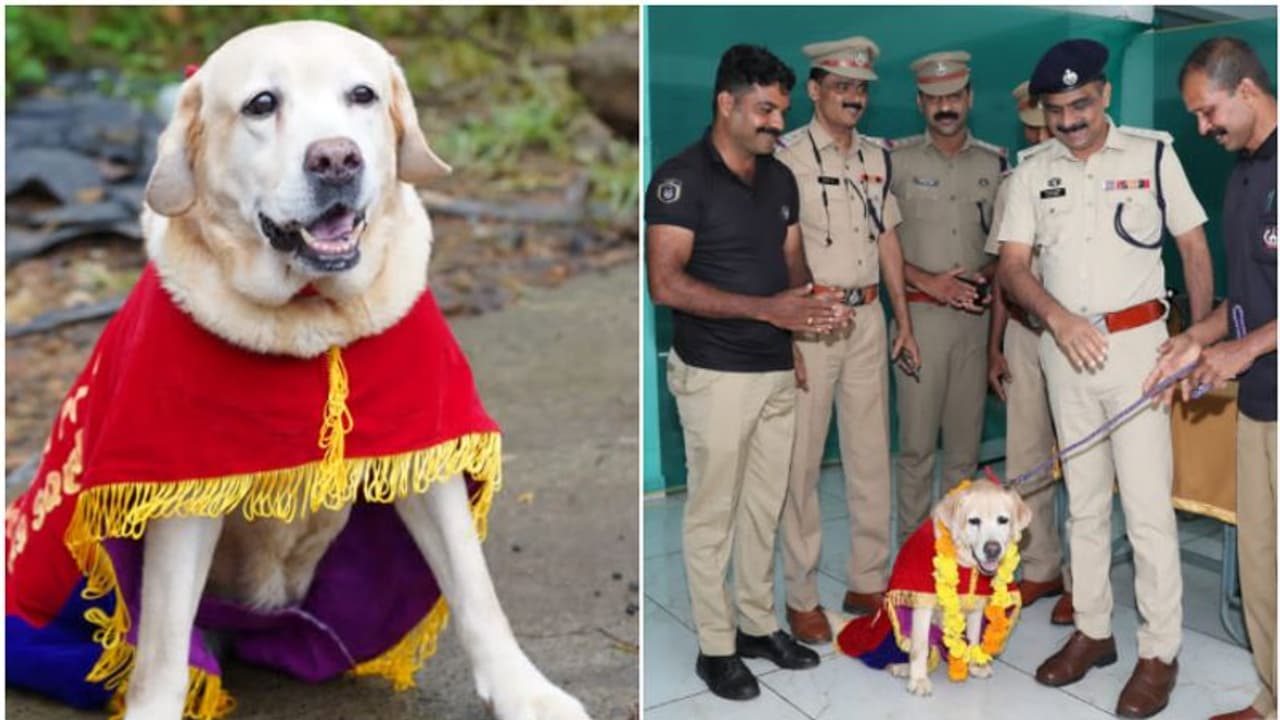 ജെനിക്ക് ഒരുഗ്രൻ സല്യൂട്ട്, തെളിയിച്ചത് ചില്ലറക്കേസല്ല! നാല് കൊലപാതകമടക്കം നിരവധി കേസുകൾ; ഇനി വിശ്രമജിവിതം ജെനിക്ക് ഒരുഗ്രൻ സല്യൂട്ട്, തെളിയിച്ചത് ചില്ലറക്കേസല്ല! നാല് കൊലപാതകമടക്കം നിരവധി കേസുകൾ; ഇനി വിശ്രമജിവിതം