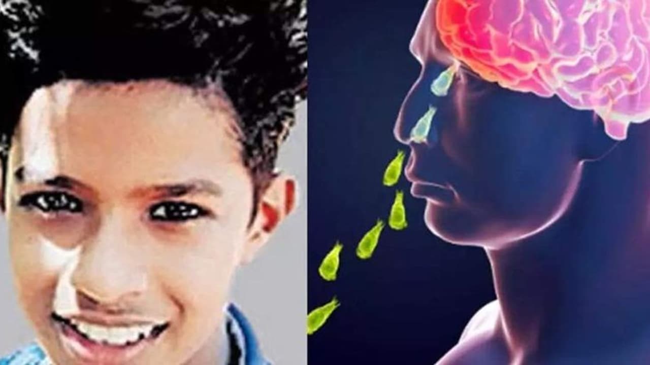 மூளையை உண்ணும் அமீபாவால் கேரள சிறுவன் உயிரிழப்பு.. இந்த ஆபத்தான அமீபா எப்படி மனிதர்களை பாதிக்கும்?