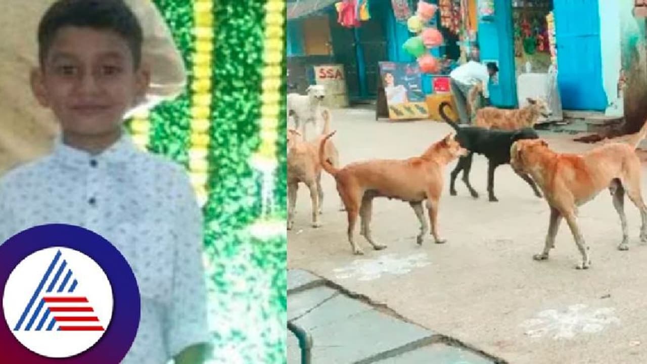 ಶಾಲೆಯಿಂದ ಮನೆಗೆ ಹೋಗ್ತಿದ್ದ ವೇಳೆ ಬೀದಿ ನಾಯಿ ದಾಳಿ; ಬಾಲಕನ ಸ್ಥಿತಿ ಗಂಭೀರ! ಶಾಲೆಯಿಂದ ಮನೆಗೆ ಹೋಗ್ತಿದ್ದ ವೇಳೆ ಬೀದಿ ನಾಯಿ ದಾಳಿ; ಬಾಲಕನ ಸ್ಥಿತಿ ಗಂಭೀರ!